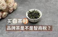 白茶购买指南：品牌与品种，新手如何选到好茶？